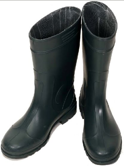 [galochas+gajos.bmp]