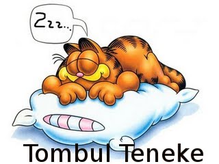 Tombul Teneke