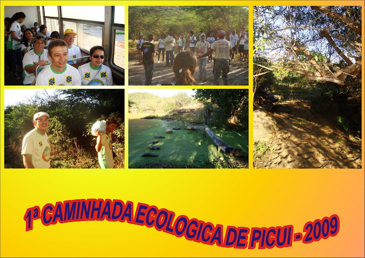 1ª CAMINHADA ECOLOGICA DE PICUI