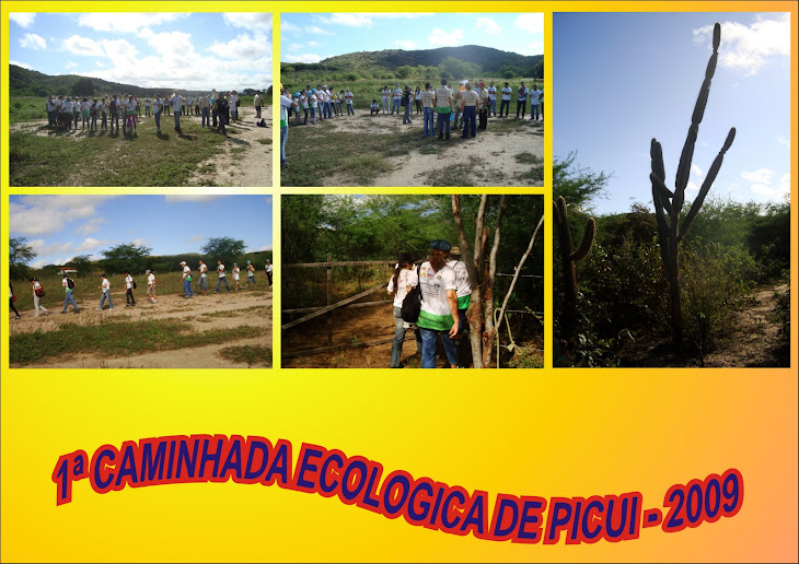 1ª CAMINHADA ECOLOGICA DE PICUI