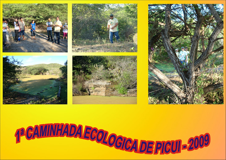 1ª CAMINHADA ECOLOGICA DE PICUI