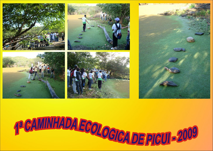 1ª CAMINHADA ECOLOGICA DE PICUI