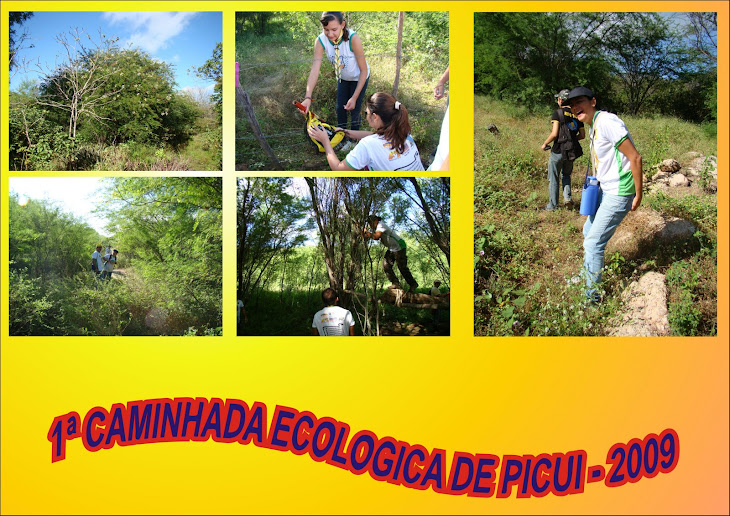 1ª CAMINHADA ECOLOGICA DE PICUI