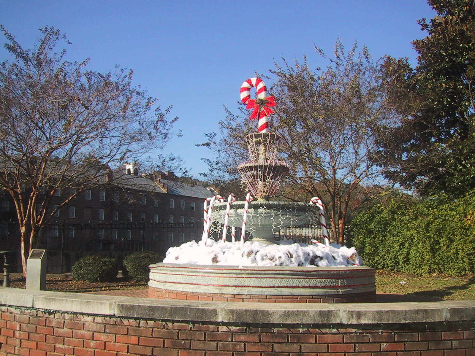 Cooking for Delightful Tastes Celebrate Christmas in Prattville, Alabama