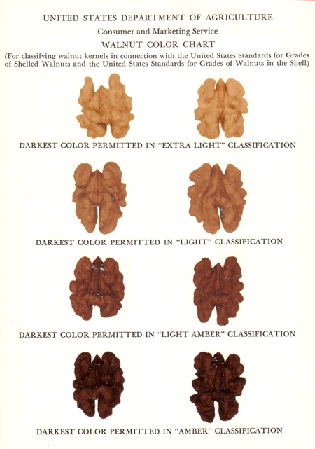 Walnut Grading Chart