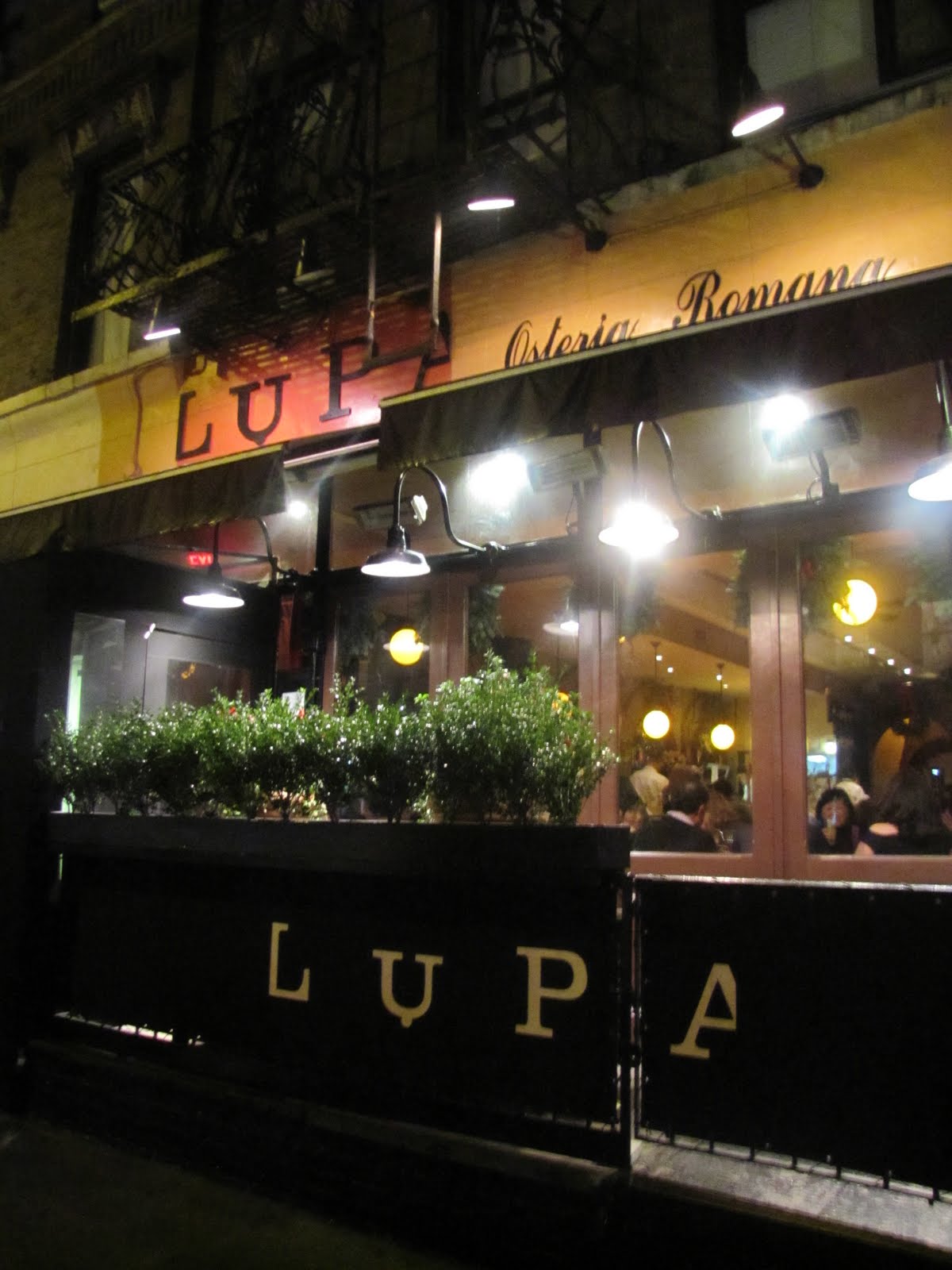 The Spot: Lupa Osteria Romana