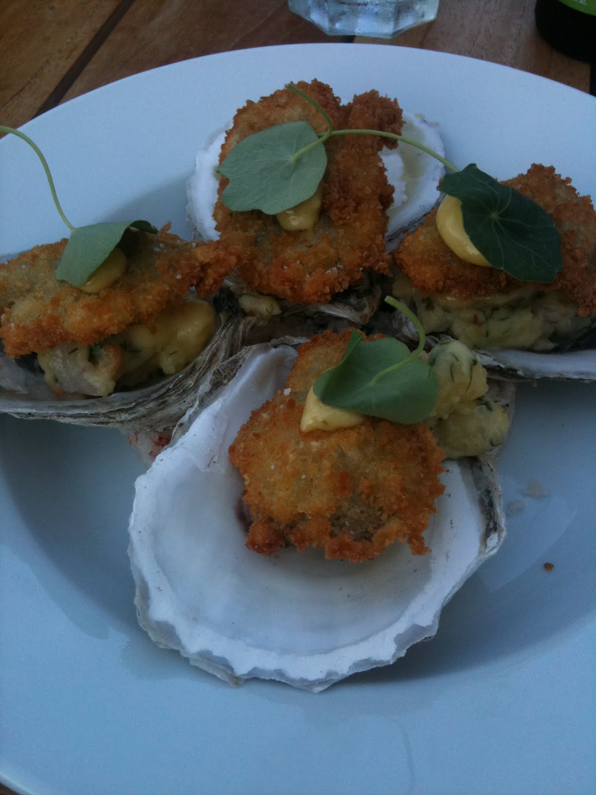 Philly Phoodie The Diving Horse, Avalon part two.