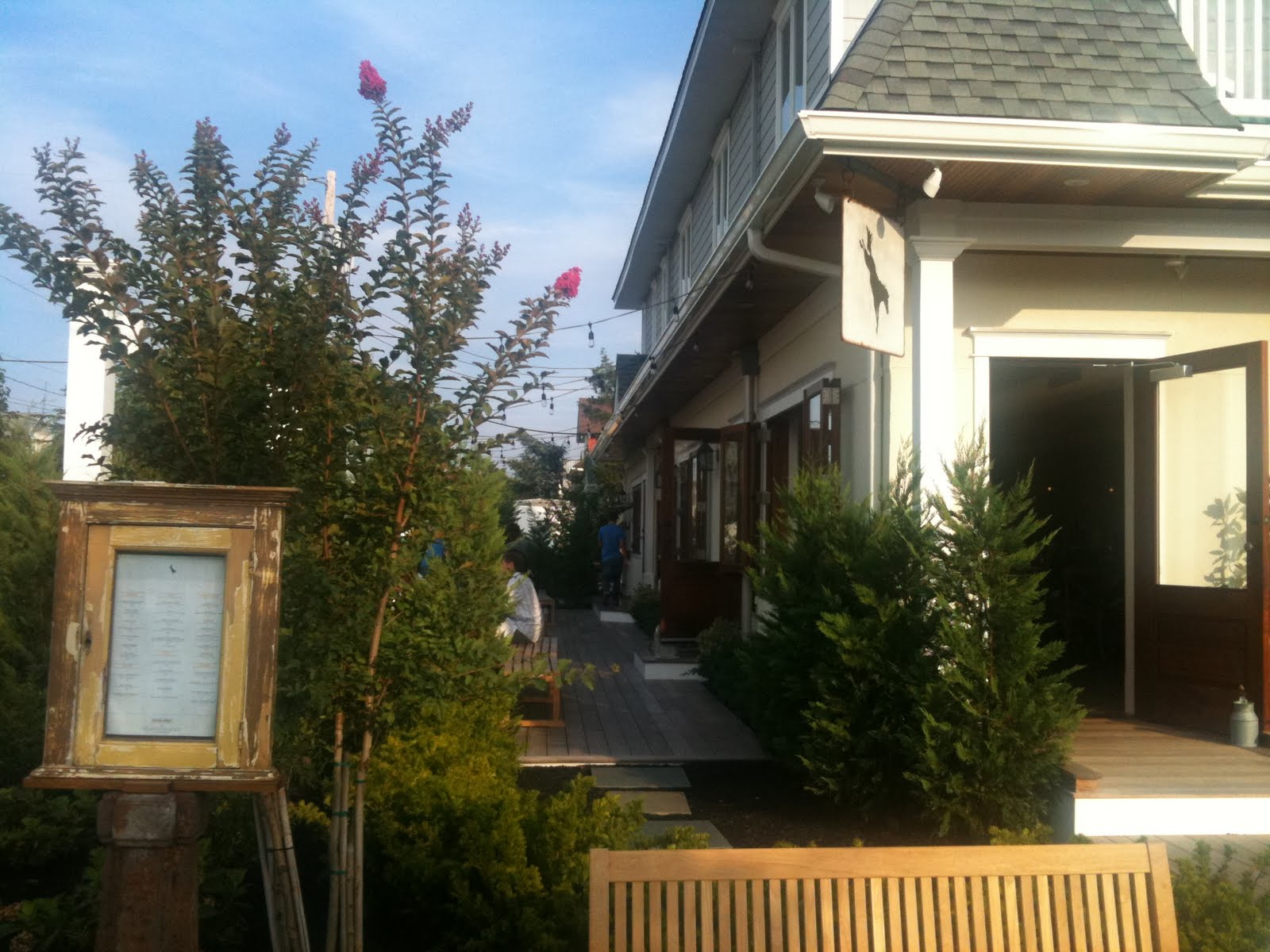 Philly Phoodie The Diving Horse, Avalon part two.