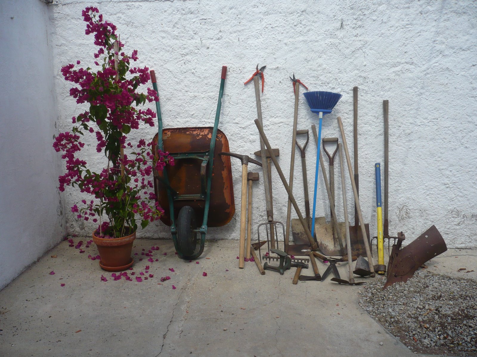 [P1020757.JPG]