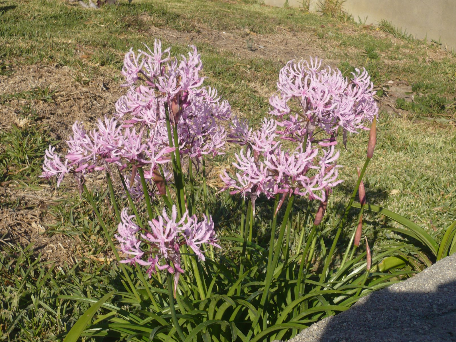 [P1020883.JPG]
