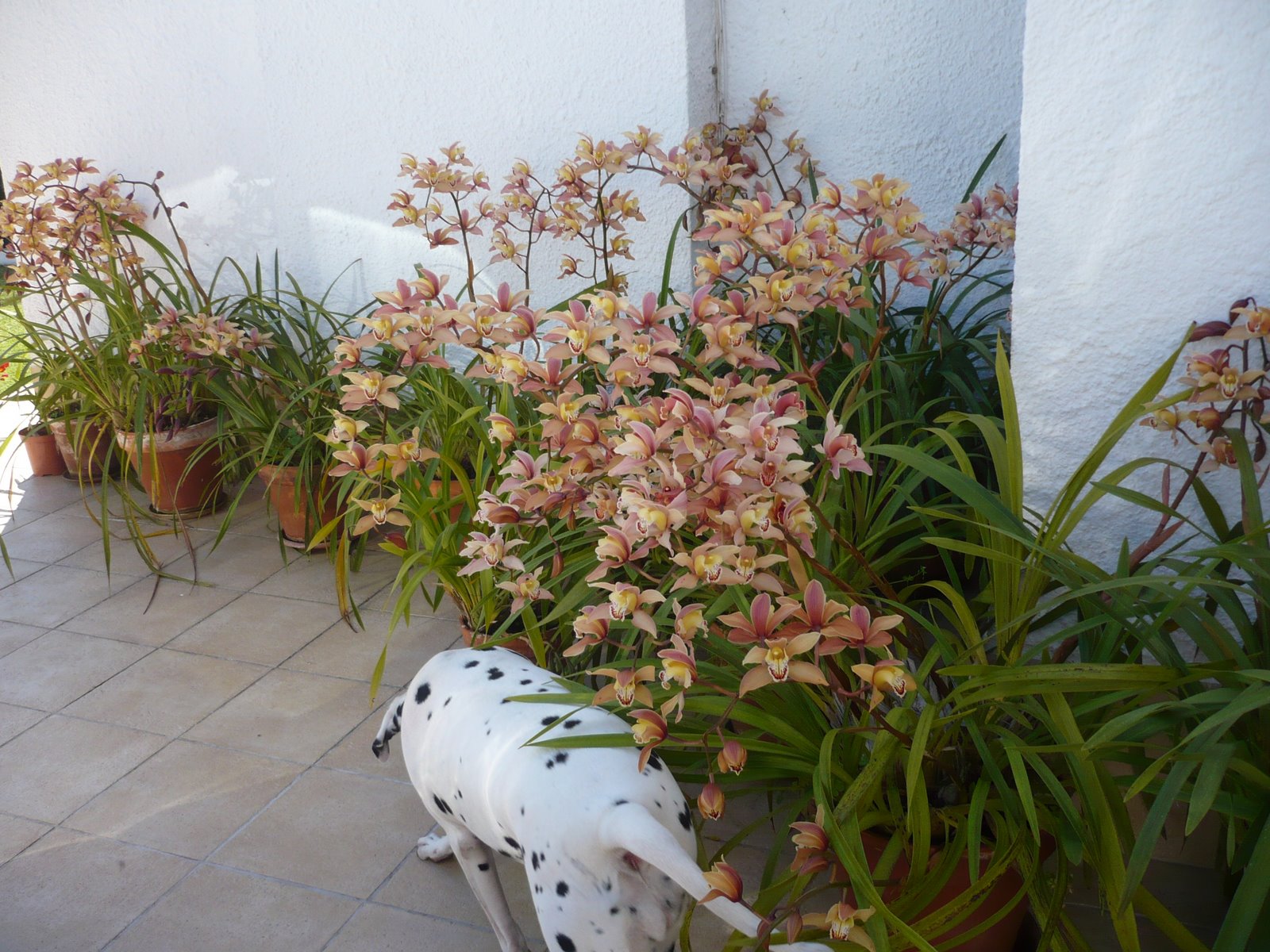 [P1010555.JPG]