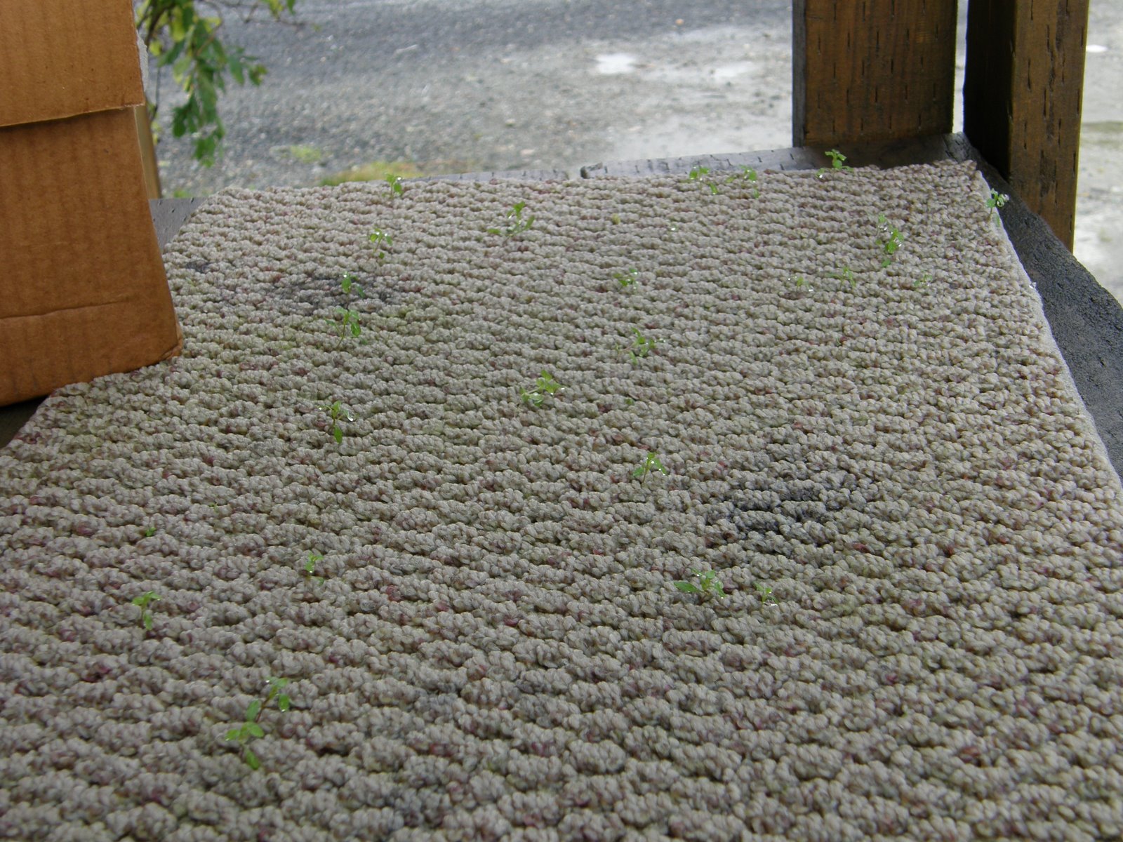 [PA090076.JPG]