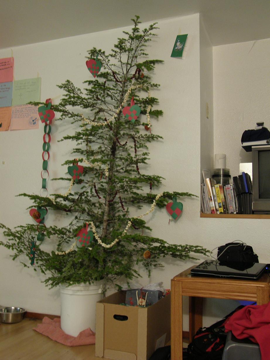 [christmas+tree+004.JPG]