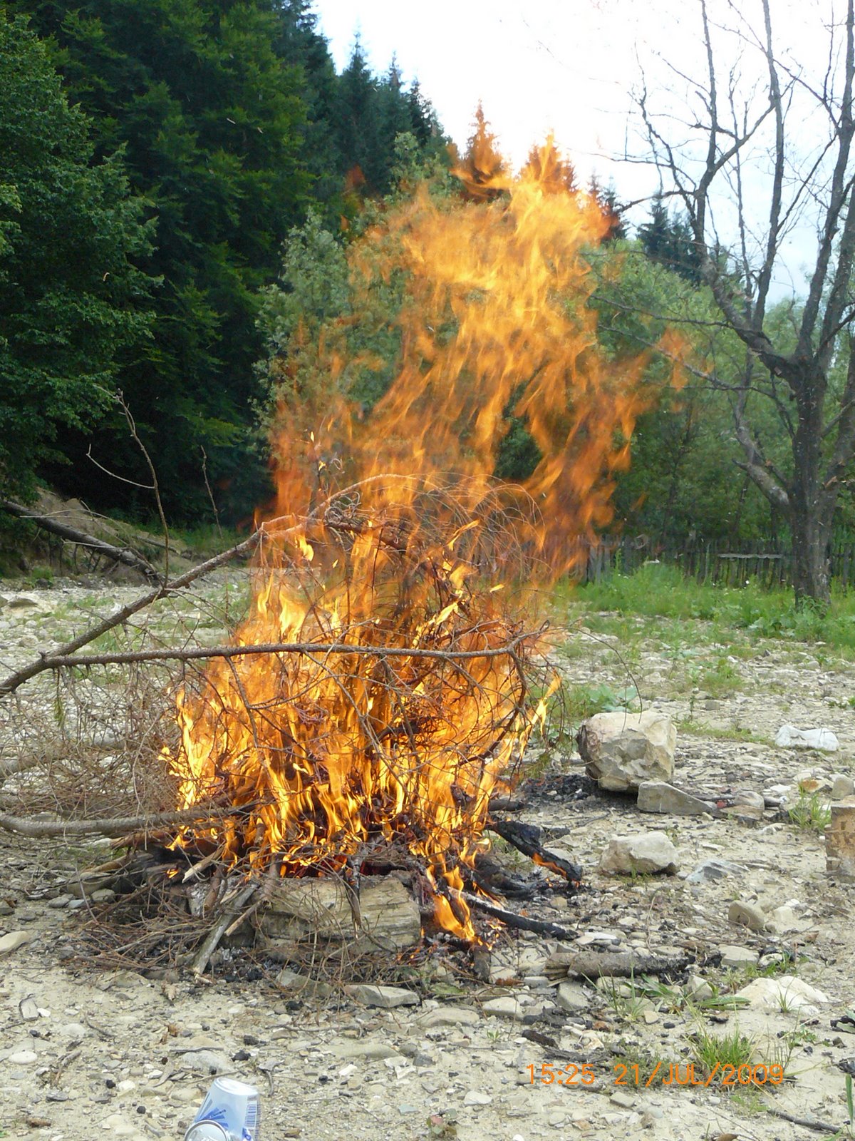 [P1040976.JPG]