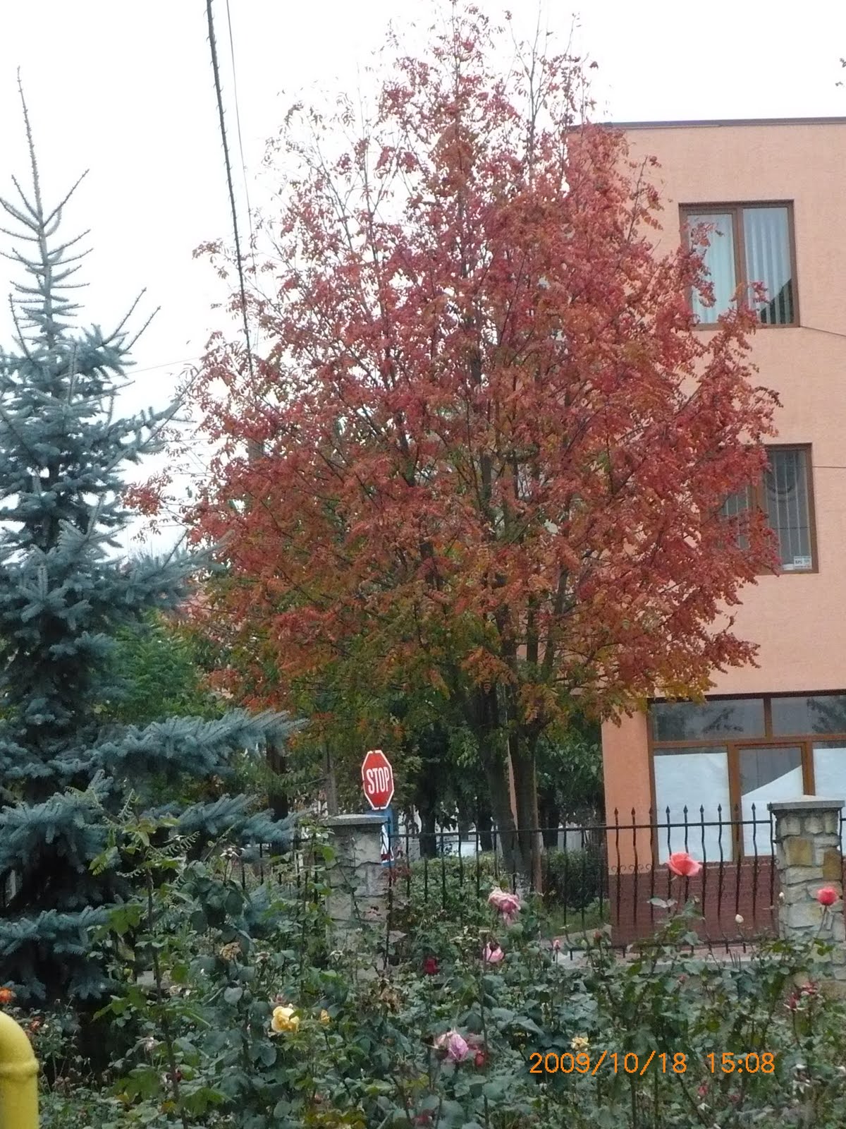[P1130219.JPG]