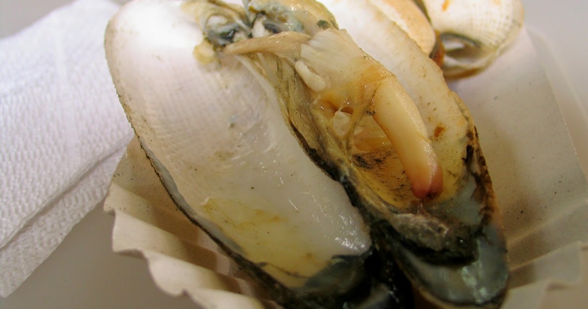 Food Notebook Angel Wings from Capiz