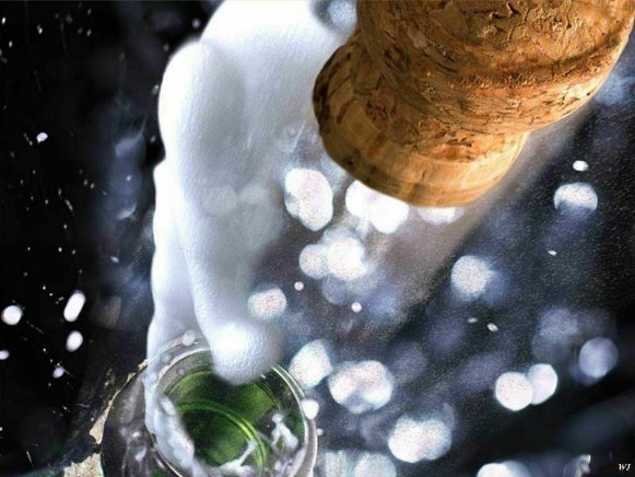 [champagne[1].jpg]