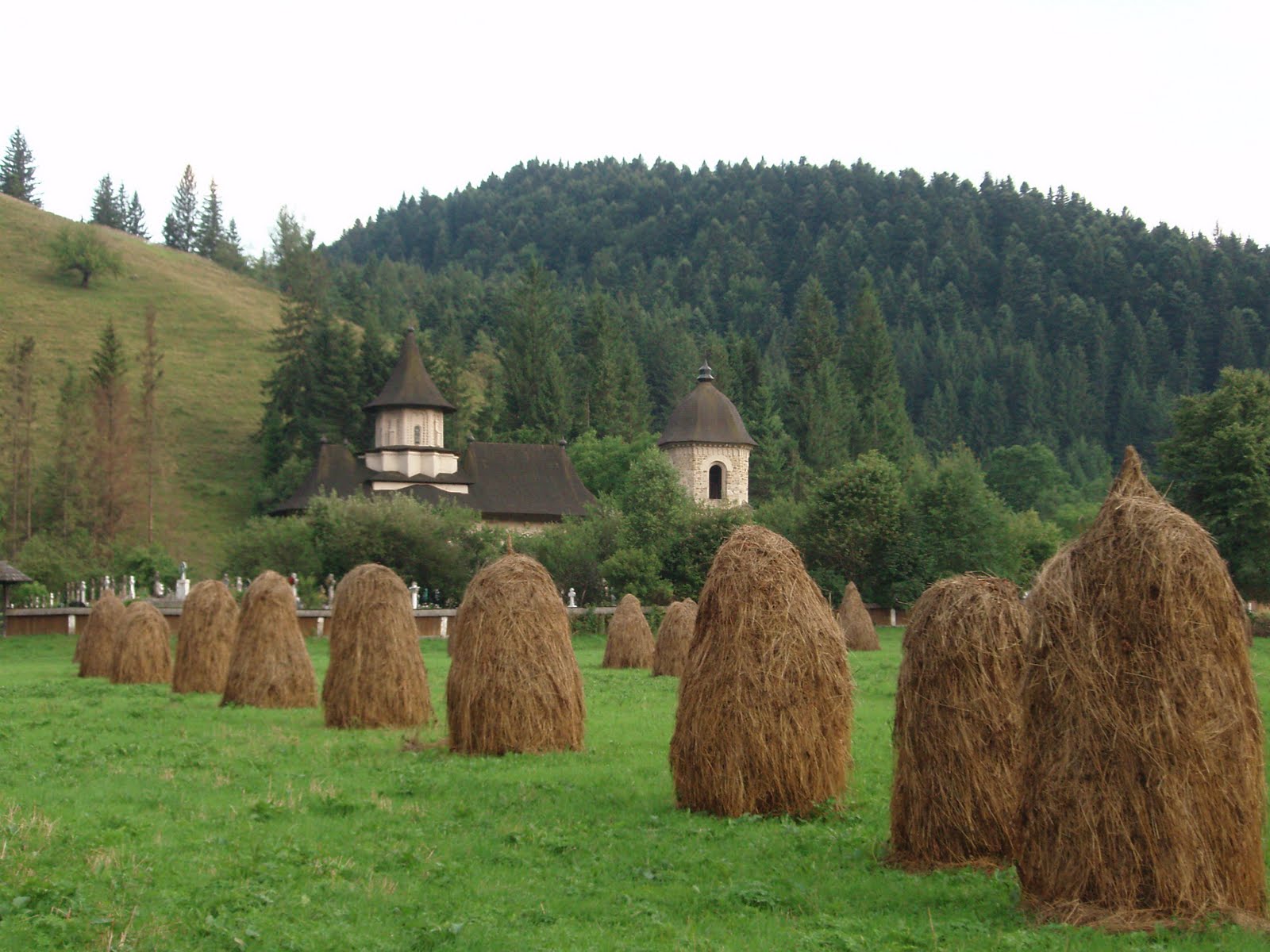 [P1010176.JPG]