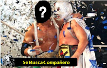 Se busca Compañero