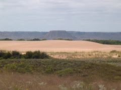 Winds on the Little Sahara