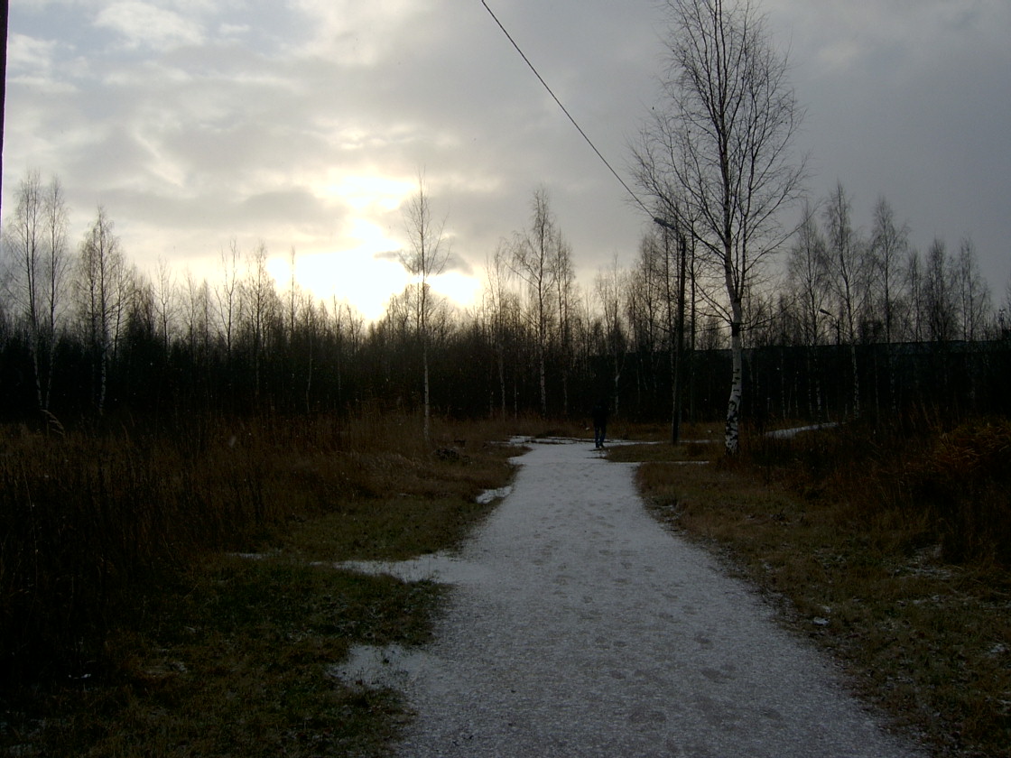 [Дорога+на+химфак1.JPG]