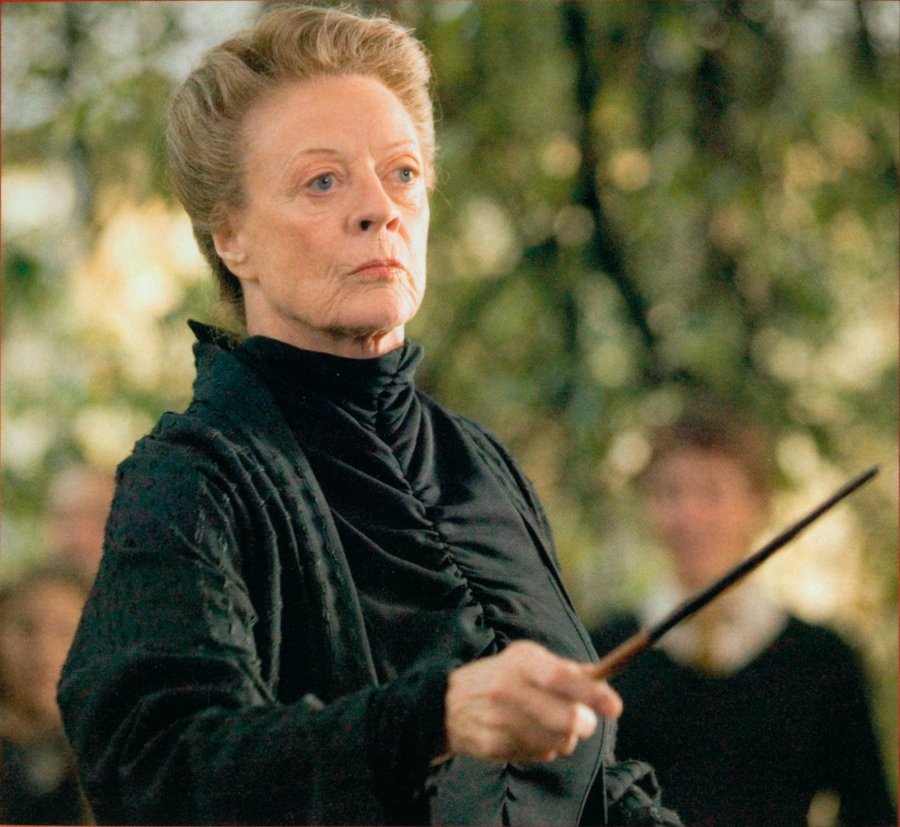 Well usually when a person shakes their head said McGonagall coldly 