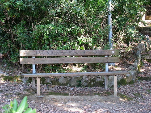 Priscilla Queen of the Desert bench, Quercianella, Livorno