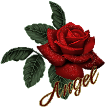 angel rose