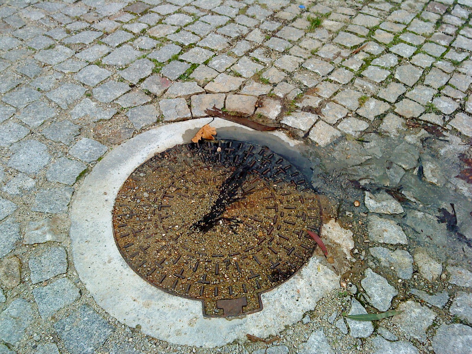 [DSC00185.JPG]
