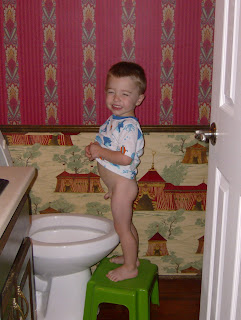 How To Potty Train A Child Who Is Afraid Of The Toilet ...