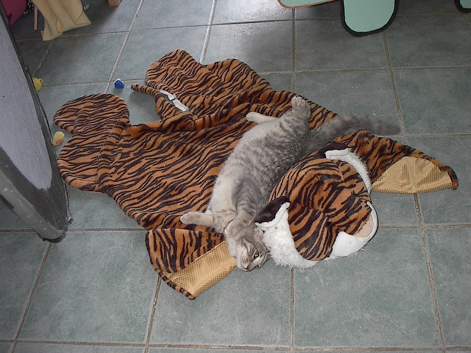 [nando+tiger+rug.jpg]