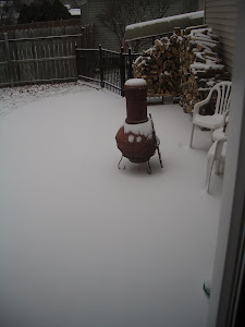 Backyard today.