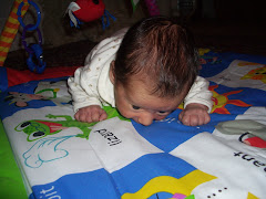 He soon figured this out and began the search for the elephant again.