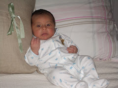Jean-Paul rolled over today (1/6) from tummy to back.