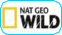 Nat Geo Wild live