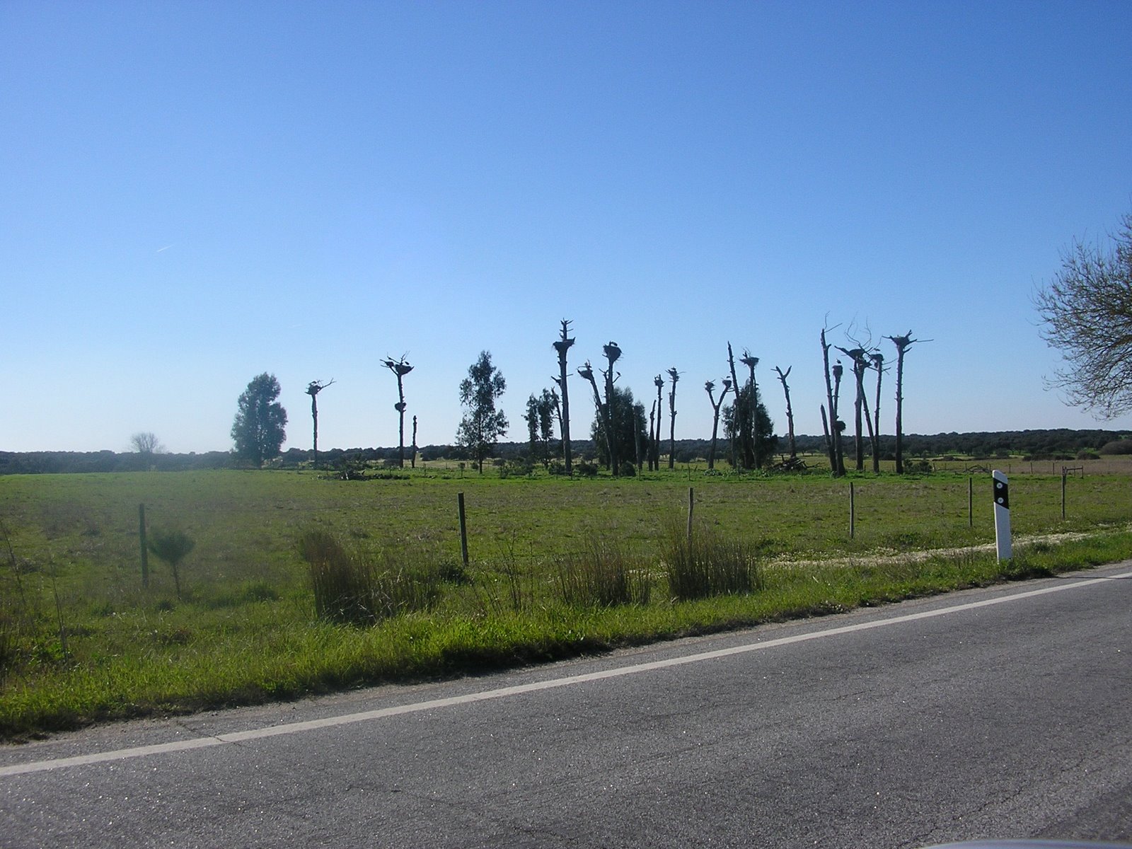 [P2193485.JPG]