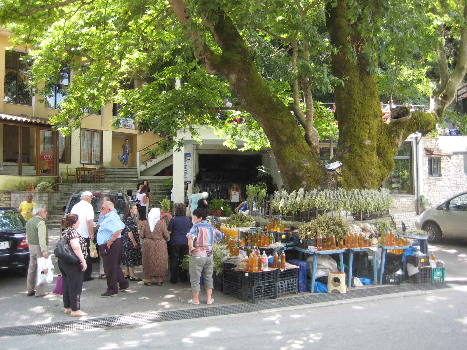 Program Shqip Per Lokale Bare Ristorante Italiano