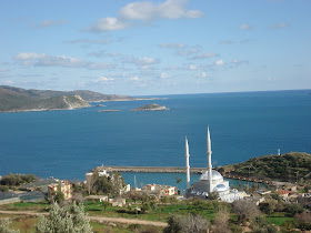 yosun daninciler haziran 2009