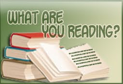 What Are You Reading? 11/14/10 (33)