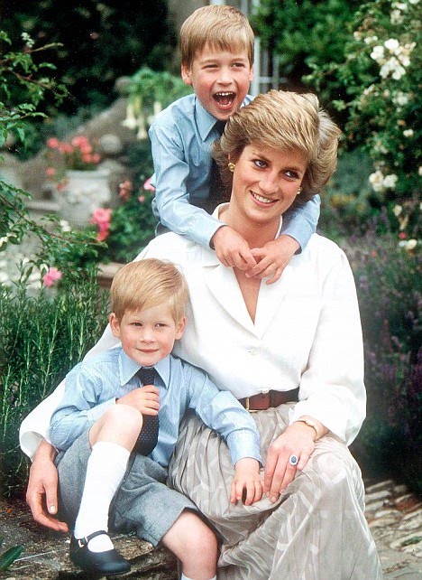 #39;Unlawful Killing#39; which princess diana death photos unlawful killing. #39;Unlawful Killing#39; which