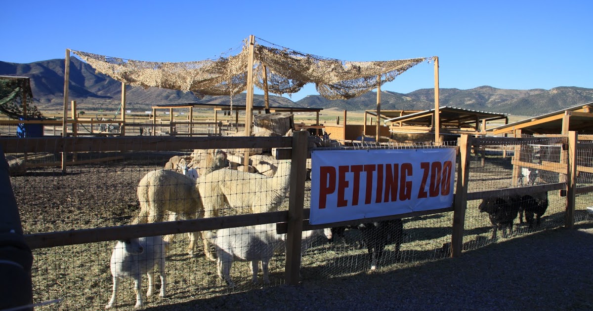 My Scenic Byway Best Gas Station Petting Zoo Charlotte Would Be Proud