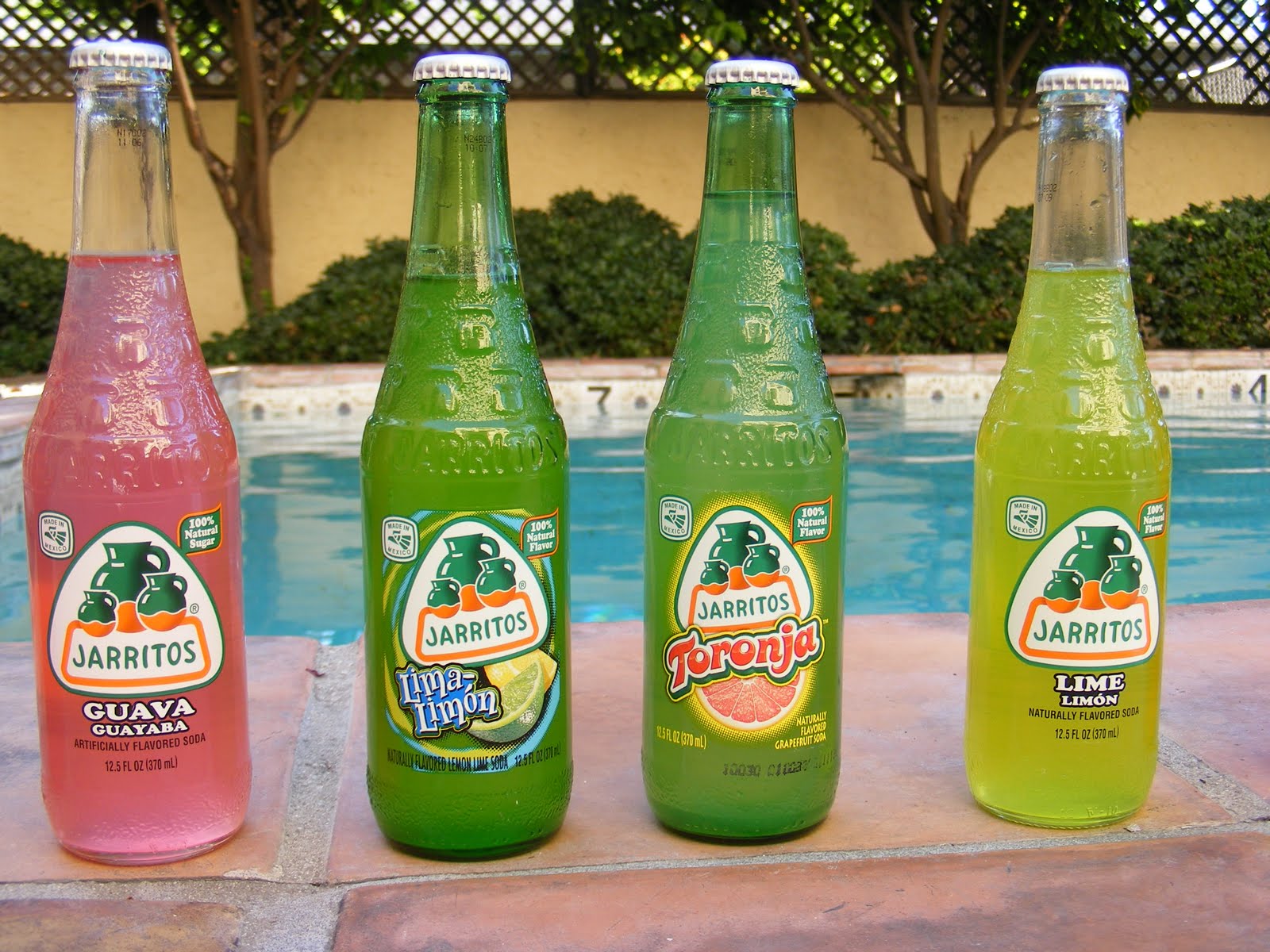 Street Gourmet LA Jarritos,Mexico's First National Soda,and My First Tastes of Mexico