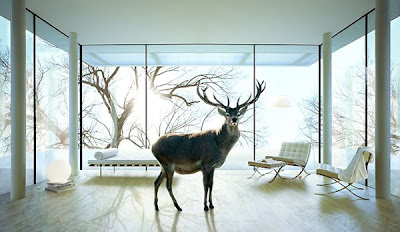 Glass Image Photography