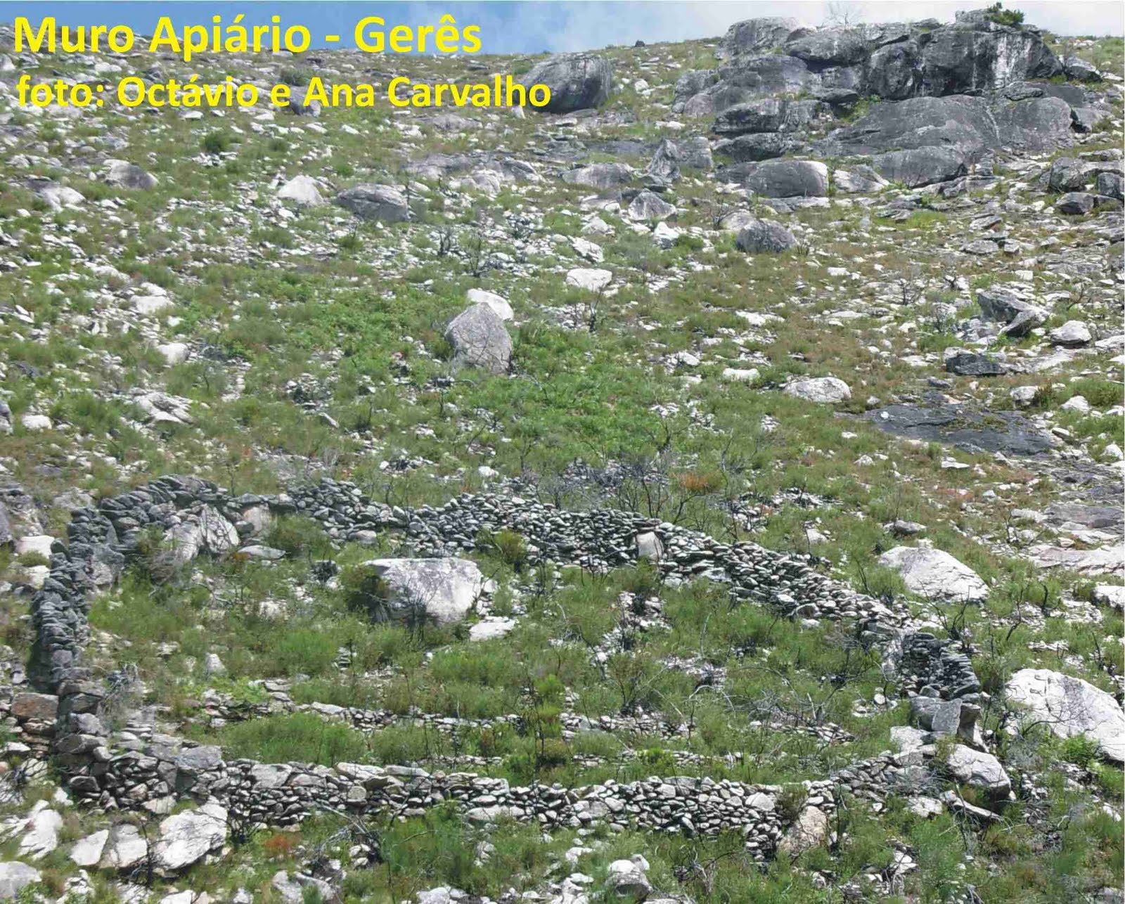 [muro_apiario_geres.JPG]