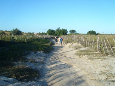 [caminho_de_volta.JPG]