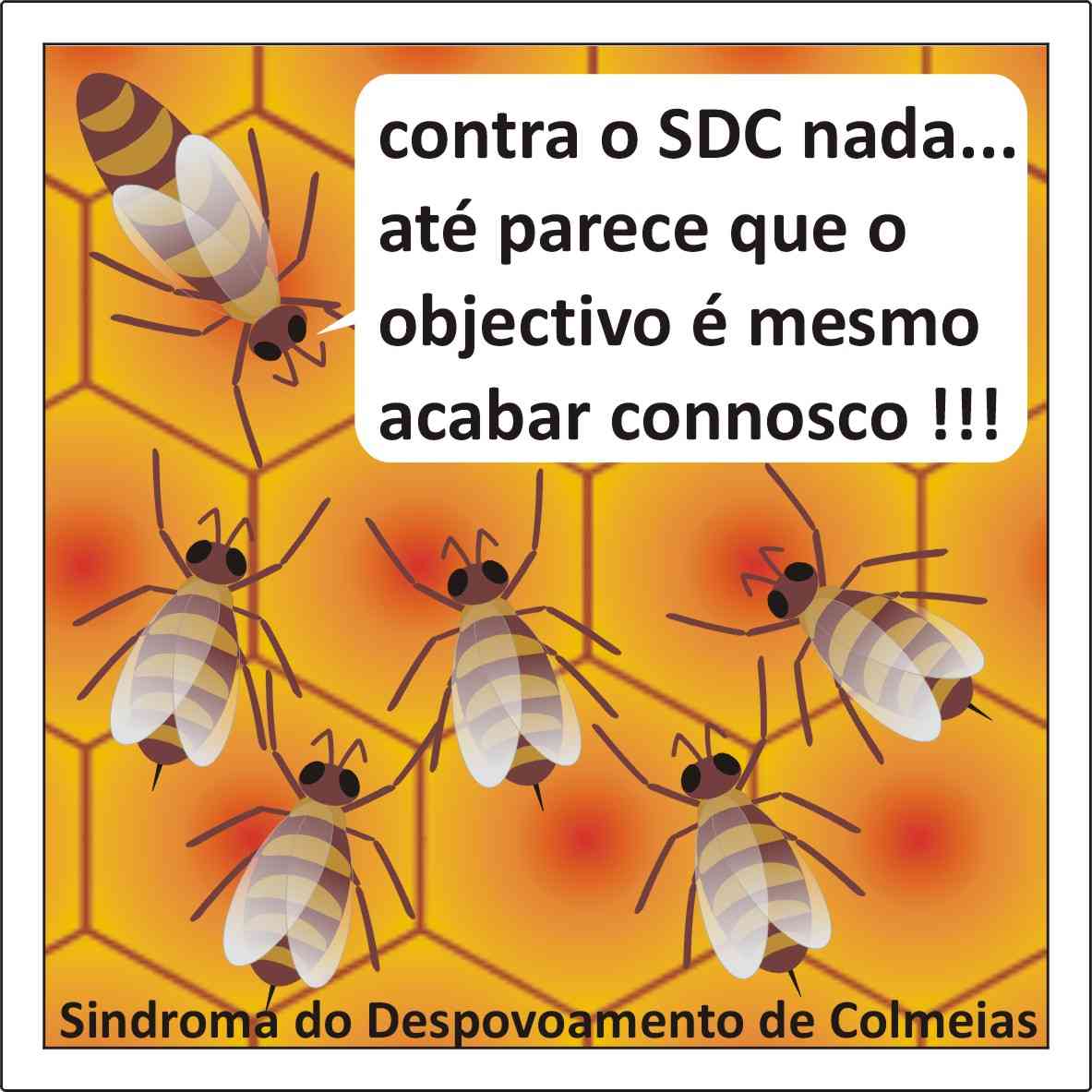 [Meltoon_41D.JPG]
