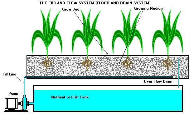 Ebb & Flow System vermiculite Ebb & Flow System vermiculite