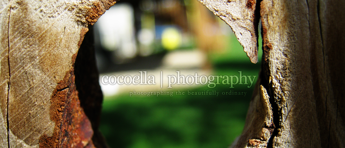 CocoElla Photography