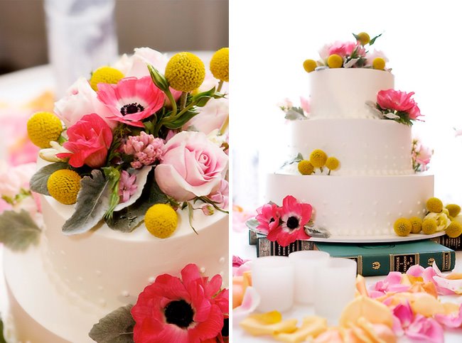 Billy Buttons Flowers