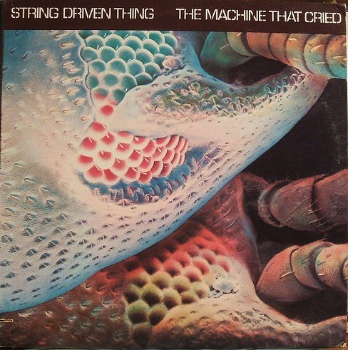 [String+Driven+Thing.jpg]